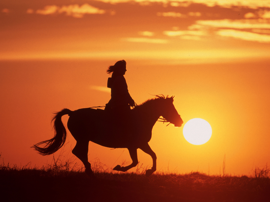 Woman riding Konik horse at sunset, North Rhine-Westphalia, Germany.